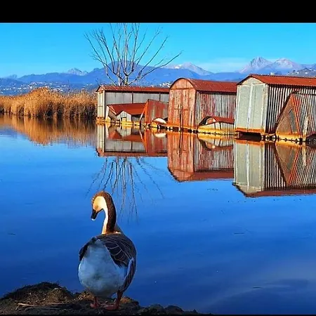 Casa Vacanze Toscana,Lago Di Massaciuccoli Exterior foto