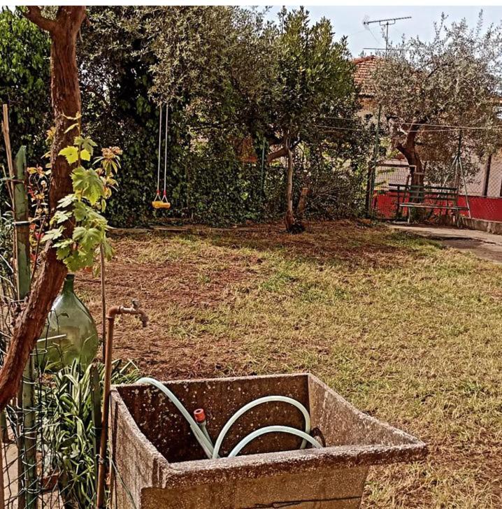 Holiday home Toscana,lago Di Massaciuccoli