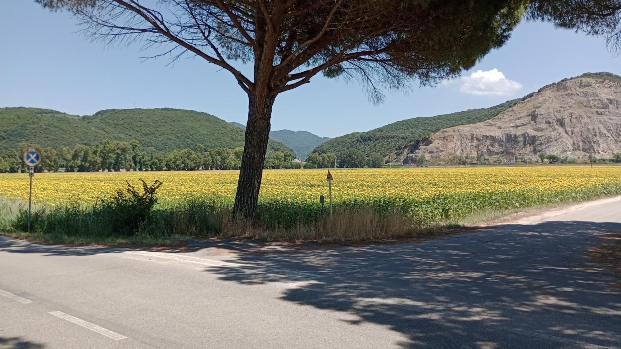Toscana,lago Di Holiday home *